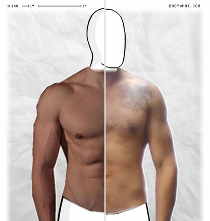 Torso Comparison