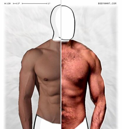 Torso Comparison