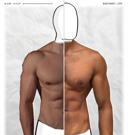 Torso Comparison