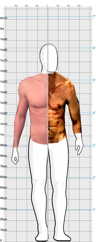 Full Size Comparison
