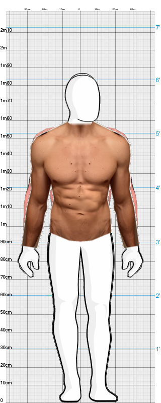 Full Size Comparison
