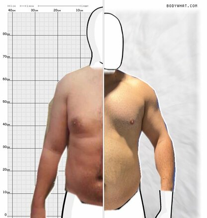 Torso Comparison