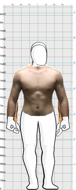 Full Size Comparison