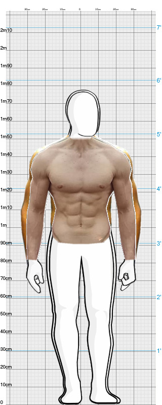 Full Size Comparison