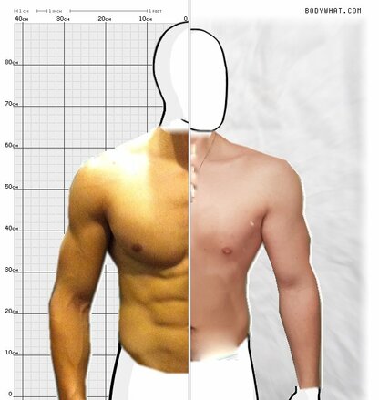 Torso Comparison