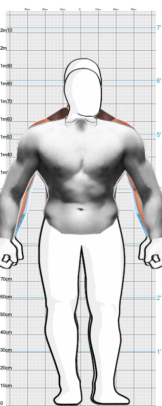 Full Size Comparison