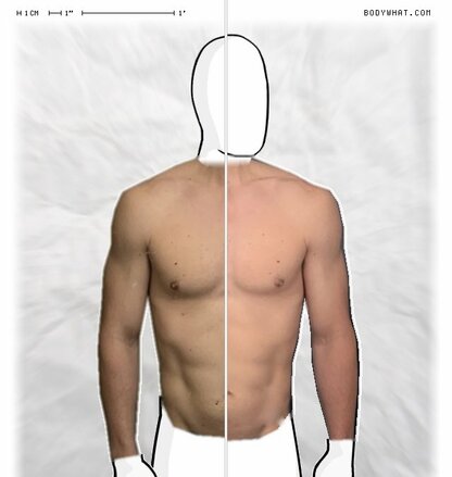 Torso Comparison