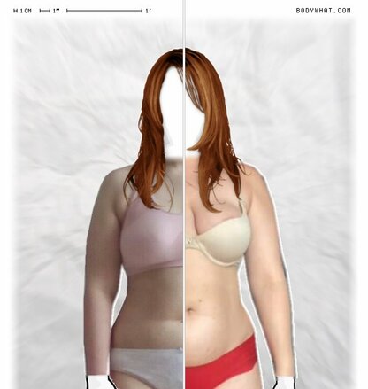 Torso Comparison