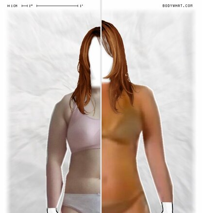 Torso Comparison
