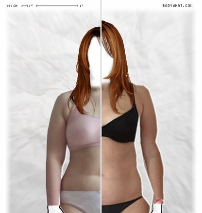 Torso Comparison