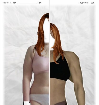 Torso Comparison