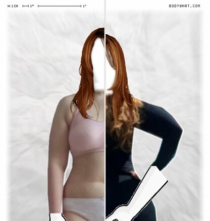 Torso Comparison