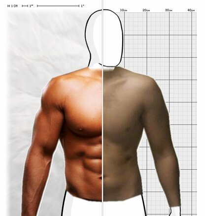 Torso Comparison