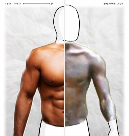 Torso Comparison