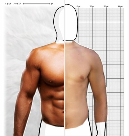 Torso Comparison