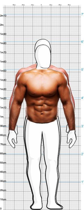 Full Size Comparison