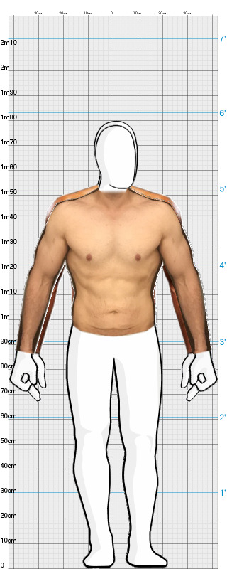 Full Size Comparison