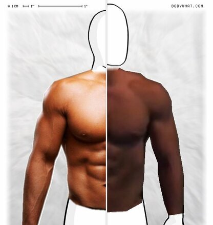 Torso Comparison
