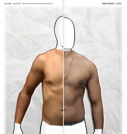 Torso Comparison
