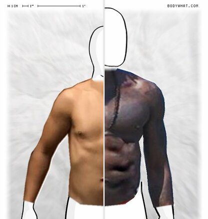 Torso Comparison