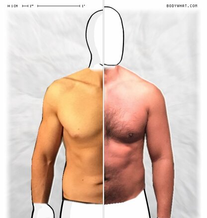 Torso Comparison