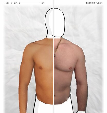 Torso Comparison