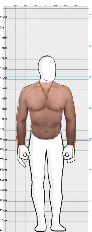 Full Size Comparison