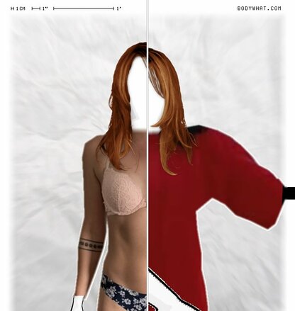 Torso Comparison
