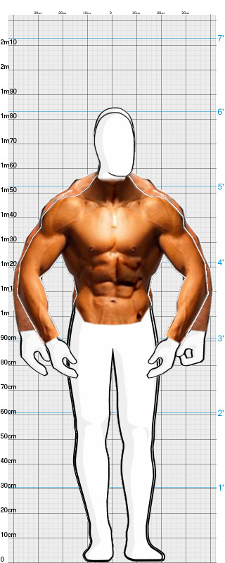 Full Size Comparison