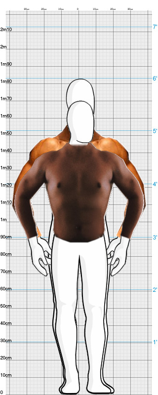 Full Size Comparison