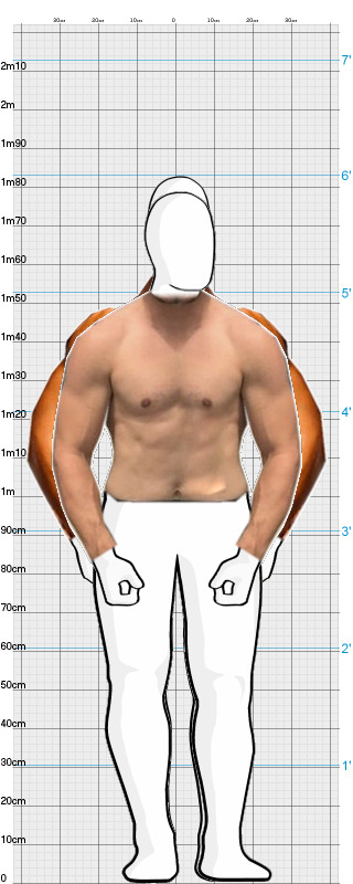 Full Size Comparison