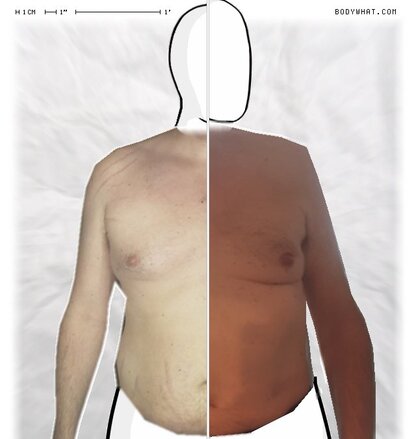 Torso Comparison