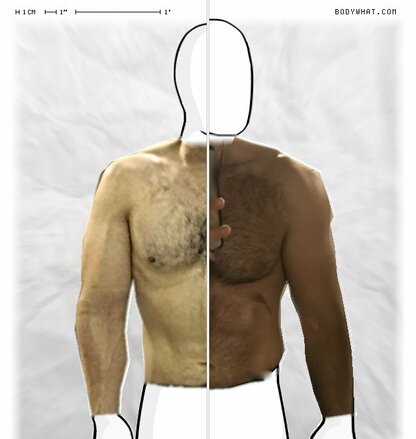 Torso Comparison