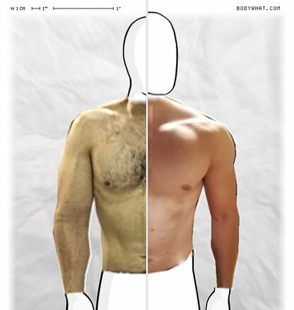 Torso Comparison