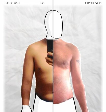 Torso Comparison