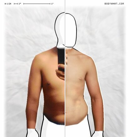 Torso Comparison