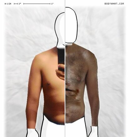 Torso Comparison