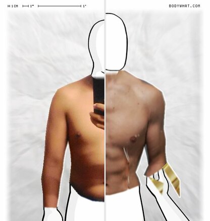 Torso Comparison