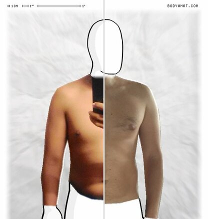 Torso Comparison