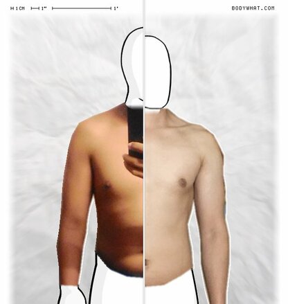Torso Comparison