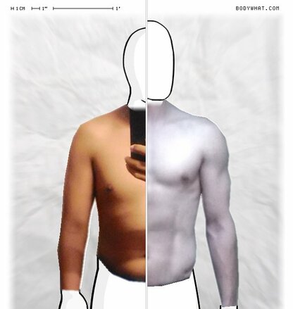 Torso Comparison