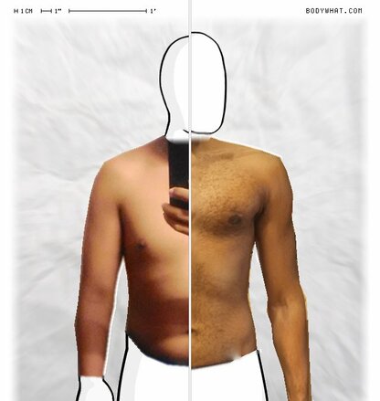 Torso Comparison