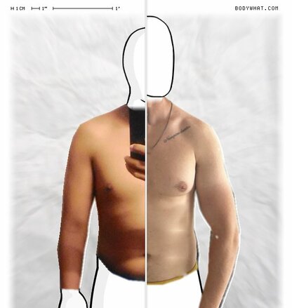 Torso Comparison
