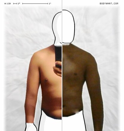 Torso Comparison