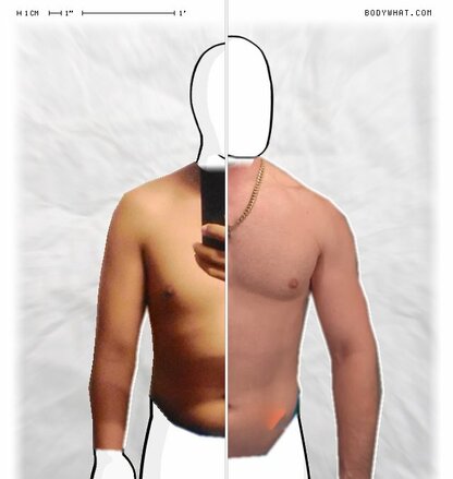 Torso Comparison