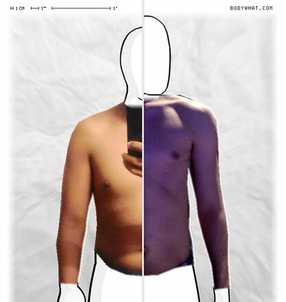 Torso Comparison