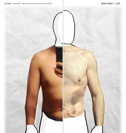 Torso Comparison