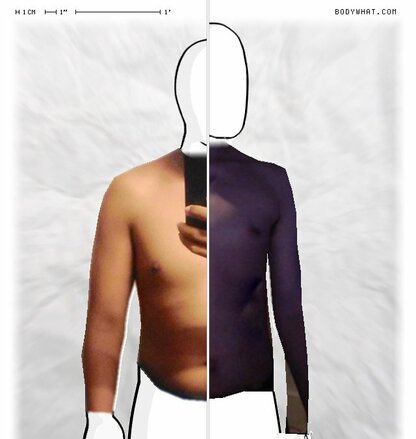 Torso Comparison