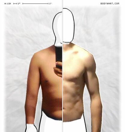 Torso Comparison