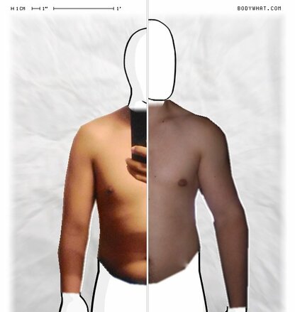 Torso Comparison